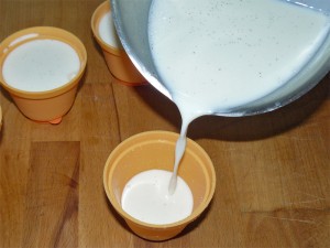 panna_cotta_alla_vaniglia_con_lamponi4