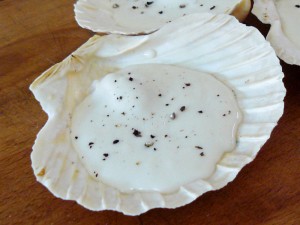 capesante_con_besciamella_04