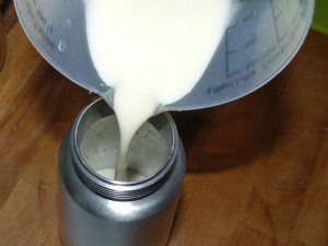 cestini_pasta_fillo_spuma_formaggi06